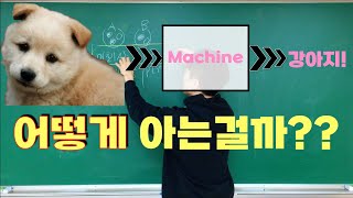 [딥러닝] 3-2강. 머신이 강아지를 학습하는 과정 (Logistic regression & Likelihood)