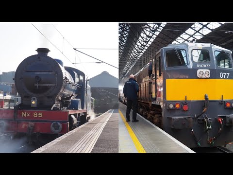 RPSI Loco 85 Merlin, Irish Rail 071 GM loco 077 and RPSI Cravens on The Midlander Steam runs 26/3/22