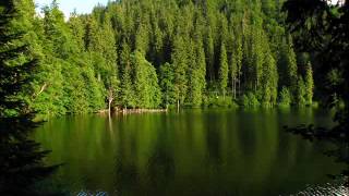 Летіла зозуля - Мар