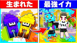 スプラトゥーンの世界に生まれた子供が最強のイカを目指すまで【まいくら / マインクラフト】