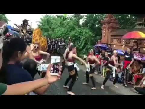 bungut internet jeg ngenain sajan