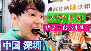 【爆笑】ハヤト丸　中国の屋台街でムカデとサソリ食べる！？