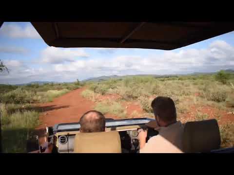 RHULANI MINUTE SAFARI - Ferrari Safari