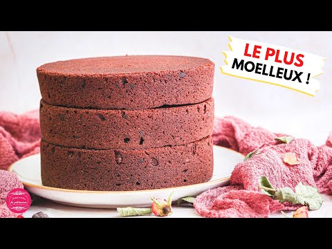 Moist chocolate cake for layer cake