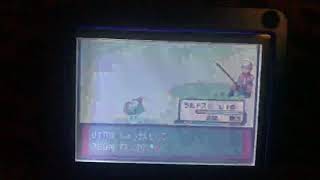 ポケットモンスターエメラルド実況#4