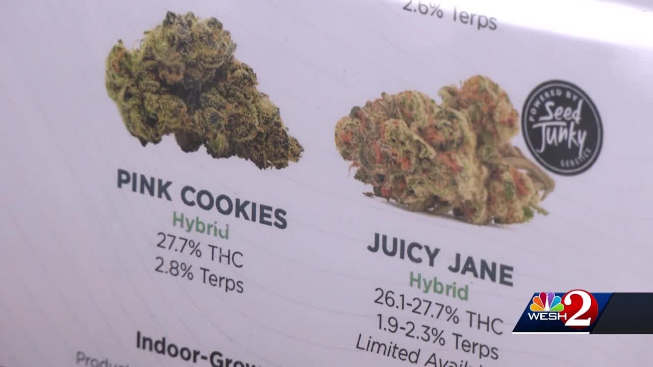 Florida amendments: What to know after election results