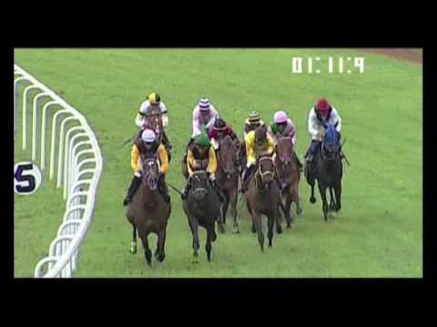 The Irish Derby / Triple Bend Stakes / 2016 Gold Cup from Santa Anita.