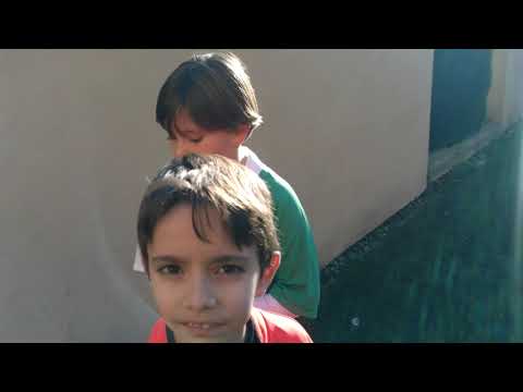 Campionato CSI UNDER 10 Orione Ognissanti - PGS Flipper - Primo Tempo