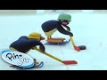 Pingu Plays Ice Hockey Pingu Official Cartoons For Kids