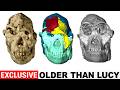 Ancient Face Reveals Little Foot May Be An Entirely New Human Ancestor