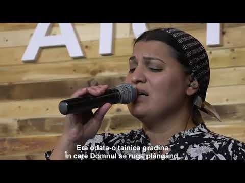 Salomeea Stoica - Era odata o tainica gradina