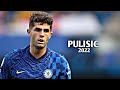 Christian Pulisic 2022 - Amazing Skills & Goals | HD