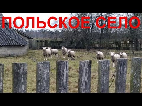 Как Выглядит Польская деревня Жизнь в Польском селе