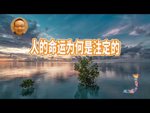 人的命