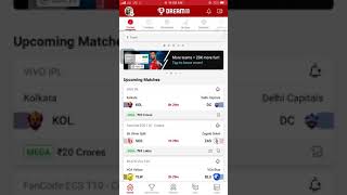 How to play dream 11IPL match