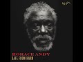 Horace Andy - Safe From Harm