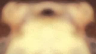 Anne Clark - The Key