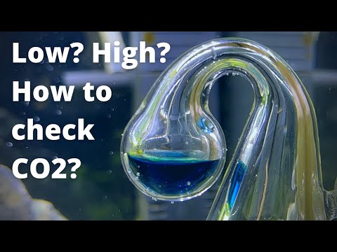 How to check and measure CO2 level? How drop checker works?
