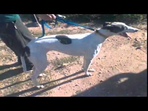 ese es un hombre campero raul ojeda