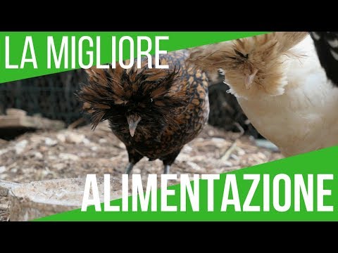 Che fare con aringa con vermi Parassita di colpo di fortuna di fegato della persona