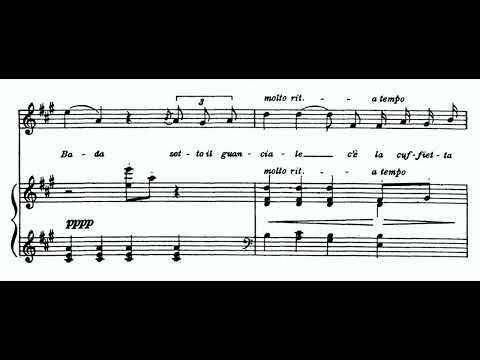 Donde Lieta Usci (La Bohème - G. Puccini) Score Animation