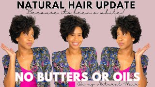 No Oils or Butters: Natural Hair Update + Salon Visit w/ Cut It Kinky Stylist | Gabrielle Ishell