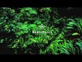 Dominik Eulberg - Sansula (Max Cooper's Lost In Sound Mix)