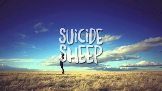 Crystal Fighters - Love Alight (Culture Shock Remix)