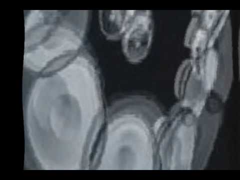 Scientist ~ bad posse