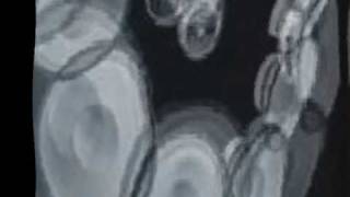 Scientist ~ bad posse