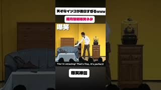 インコが天才すぎるwww #お笑い #爆笑