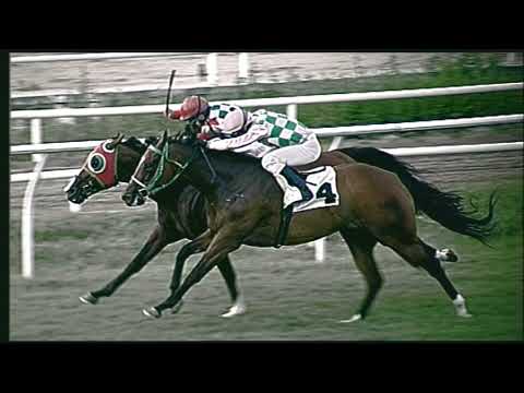 Galoppo 08/08/2020 3ª corsa