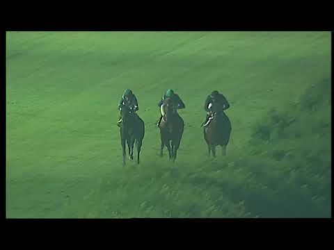 Napoli Galoppo 18/08/2021 - 5ª corsa