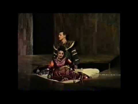 Alfred Žari - Kralj Ibi Okovani