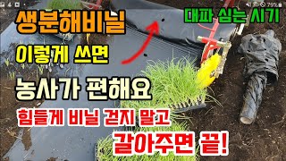 모종심을때 멀칭비닐 이것 써보세요 농사가 편해집니다 환경도생각해야죠 대파심는방법