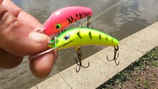 Fishing Product Review Stump Jumper Lures