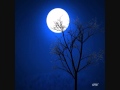 Amos Lee "Violin" 