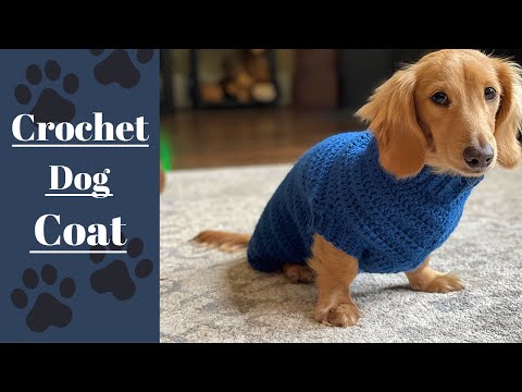 , title : 'Crochet a Cozy Sweater for your Furry Friend! | Easy Pattern & Tutorial'
