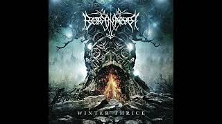 Borknagar - 8 Terminus | Winter Thrice 2016 #progressivemetal #blackmetal