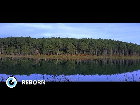 Reborn - Court Métrage - Mobile Film Festival