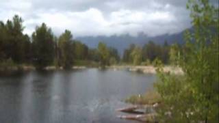 preview picture of video 'Cheam Wetland Bird Sanctuary, Agassiz, BC'