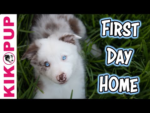 STOP UNWANTED behaviors with BACK UP