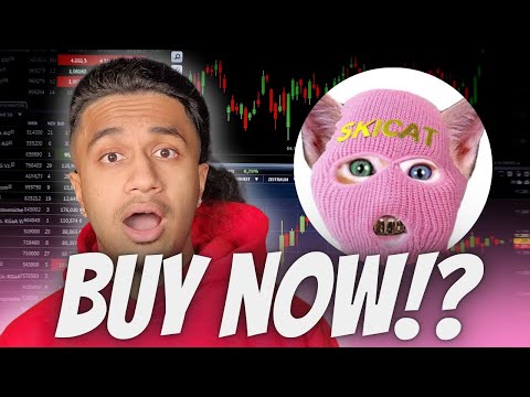 WHAT IS SKI MASK CAT?! $SKICAT IS EXPLODING!! NEW 100X BASE MEMECOIN