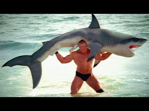 Pre-Battleground Fight Size: Preview Videos, Trash-Talking Tweets, And Brock F-5s A Shark