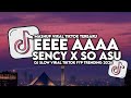 DJ EEEE AAAA ENGKOL X SENCY X SO ASU SLOW VIRAL TIKTOK FULL SONG MAMAN FVNDY 2026