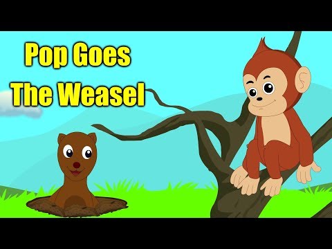 Pop Goes The Weasel With Lyrics | Nursery Rhymes for Kids