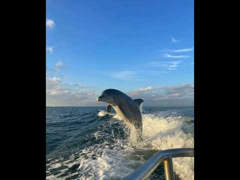 #shortvideo #beach #vibes #beauty #viralvideo