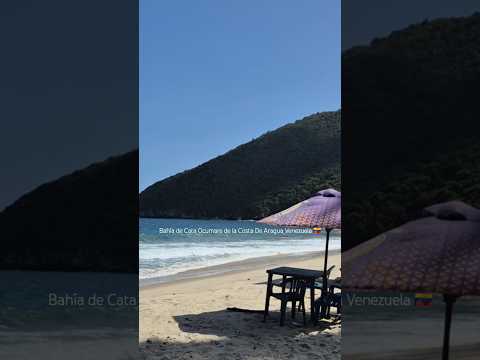 #BahiaDeCata #Cata #Ocumare #CostaDeOro #Aragua #travel #adventure #fyp #fypシ #shorts #shortvideo