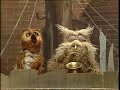 Classic Sesame Street Hoots And Athena Sings Thazzle Note