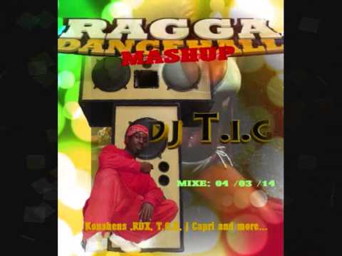 DJ T.I.G #509 Ragga Dance Hall Mash Up